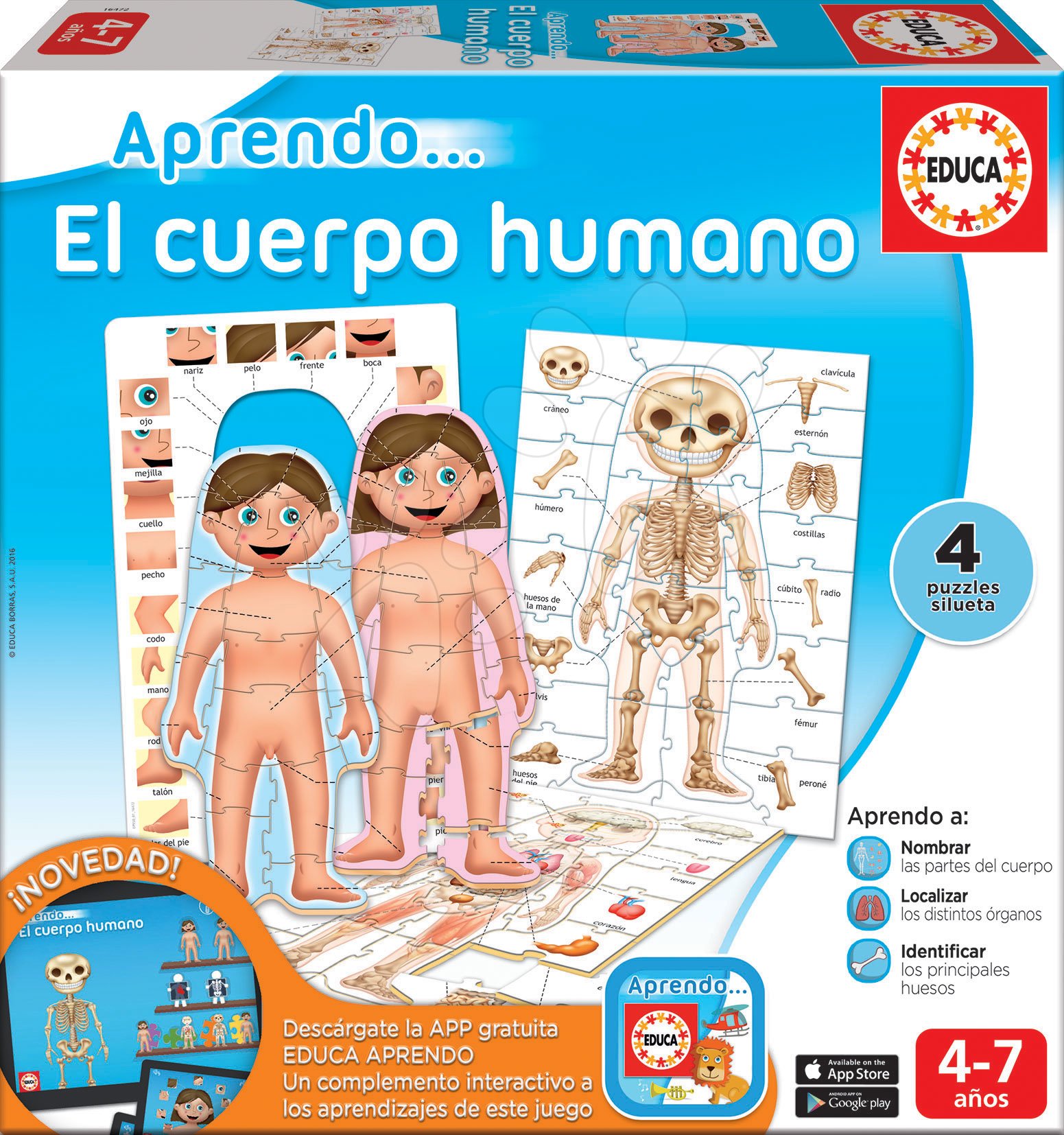 Oktatójáték Ismerkedem az emberi testtel Educa 4 puzzle spanyol nyelvű 4-7 évtől