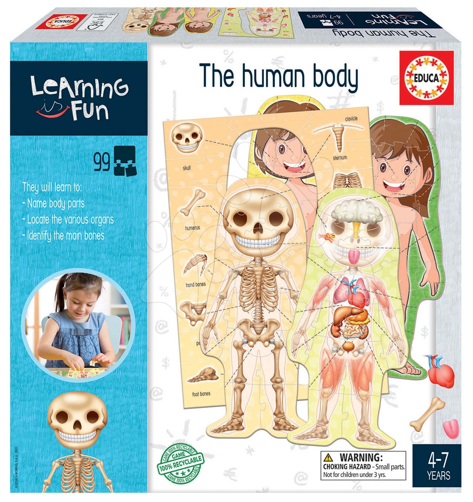 Gioco educativo per i più piccoli Imparariamo l'anatomia del