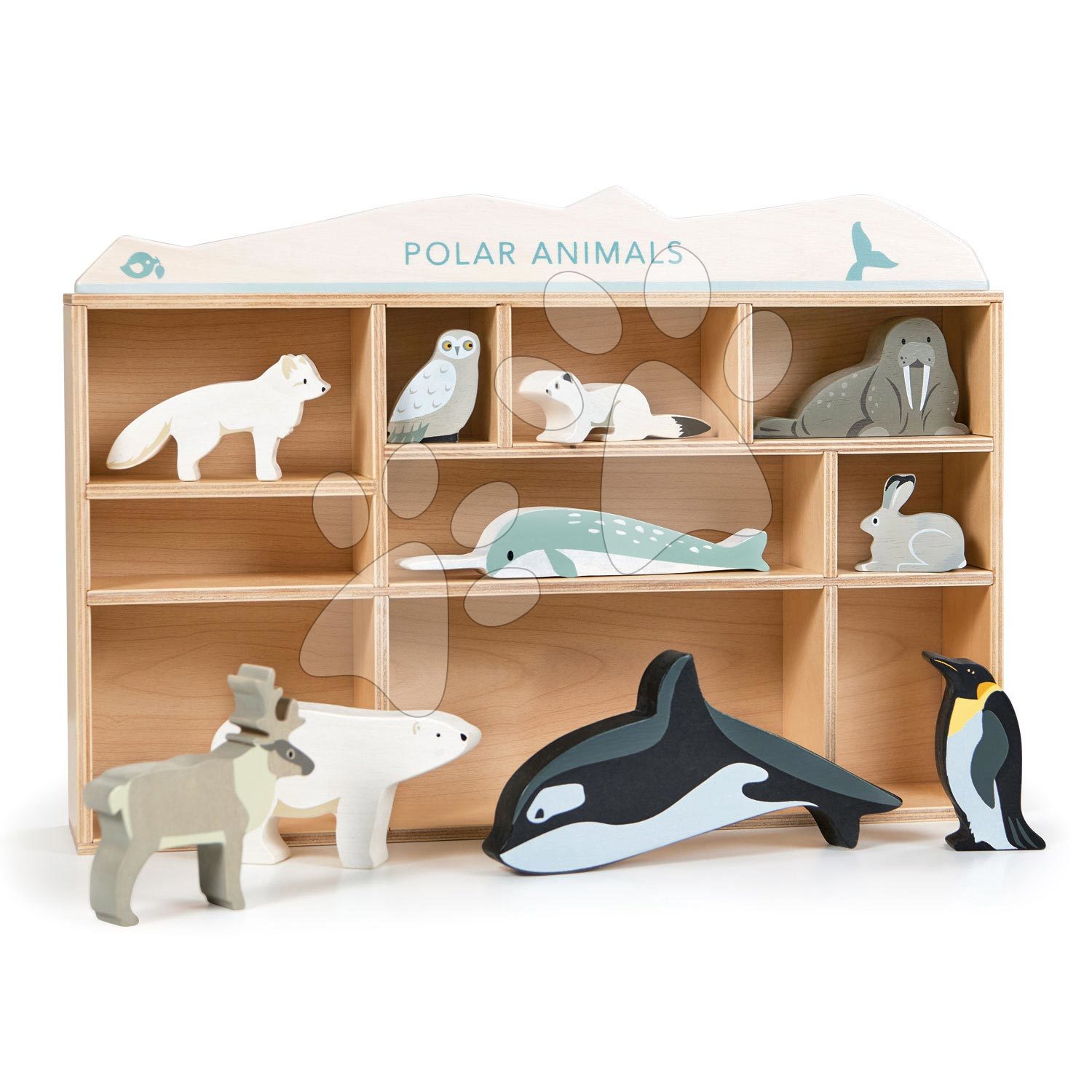 E-shop Drevené polárne zvieratká na poličke Polar Animals Shelf Tender Leaf Toys 10 druhov ľadových živočíchov