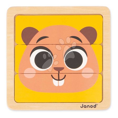 Wooden toys - Educational box for the development of cognitive abilities Janod