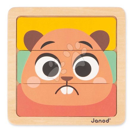 Wooden developmental toys - Educational box for the development of cognitive abilities Janod - 4