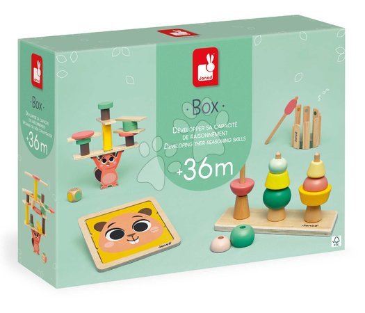 Wooden developmental toys - Educational box for the development of cognitive abilities Janod - 26