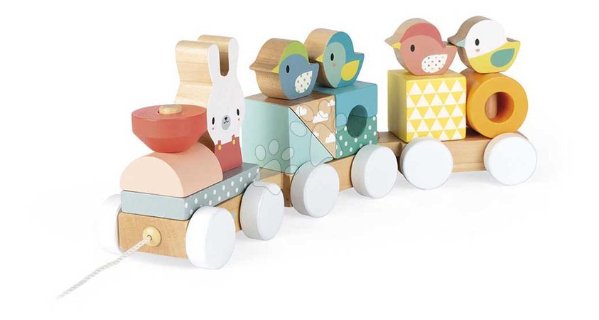 Wooden pull-along toys - Drevený vláčik na ťahanie Train Pure Janod - 2