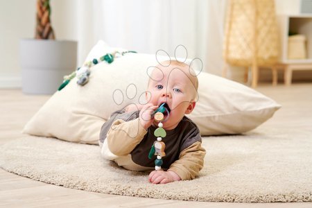 Rattles and teethers - Wooden pacifier chain Baby HIPP Dummy Chain Eichhorn - 6