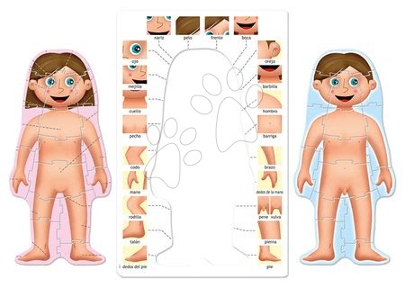Idegennyelvű társasjátékok - Oktatójáték Ismerkedem az emberi testtel Educa - 3