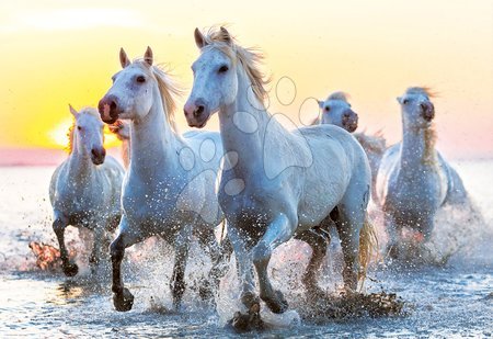 1000 darabos puzzle - Puzzle Genuine White Horses at Sunset Educa - 1