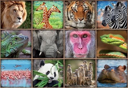 Puzzle 1000 dílků - Puzzle Wild animals collage Educa - 1