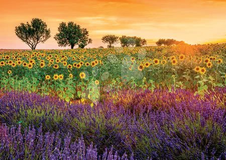 Puzzle 1500 dílků - Puzzle Field of Sunflowers and Lavender Educa - 1