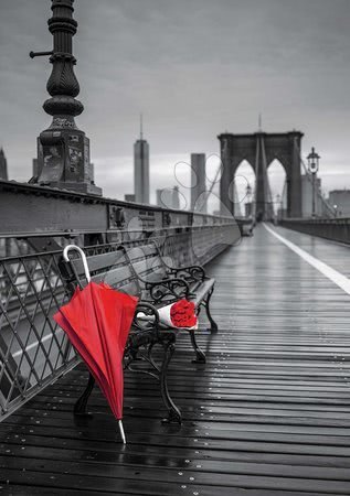 Puzzle 1000 dílků - Puzzle Black&White Red Umbrella, Brooklyn Bridge Educa - 1