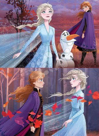 Dřevěné Disney puzzle - Dřevěné puzzle pro děti Frozen Educa - 1