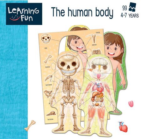 Tujejezične družabne igre - Poučna igra za najmlajše The Human Body Educa  - 2