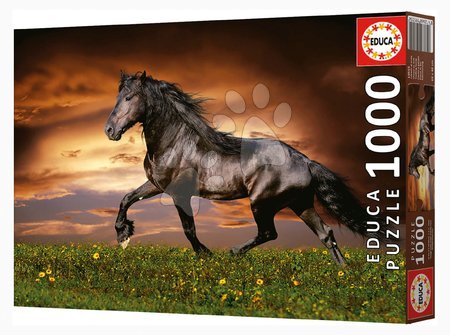 Puzzle 1000 pezzi - Puzzle Trotting Horse Educa - 2