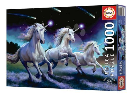 Puzzle 1000 pezzi - Puzzle Shooting Stars Anne Stokes Educa - 6