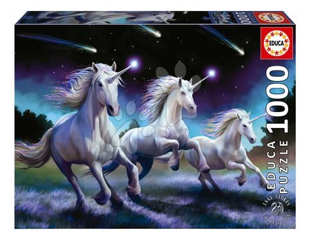 Igrače za vse od 10. leta - Puzzle Shooting Stars Anne Stokes Educa