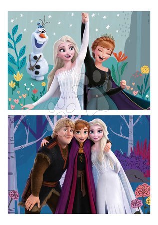 Jigsaw puzzles and games | Page 4 - Wooden puzzle Frozen Educa_1