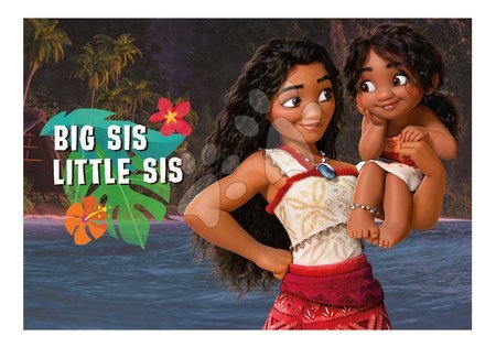 Puzzle infantiles progresivos - Puzzle Multi 4 Moana Educa - 2