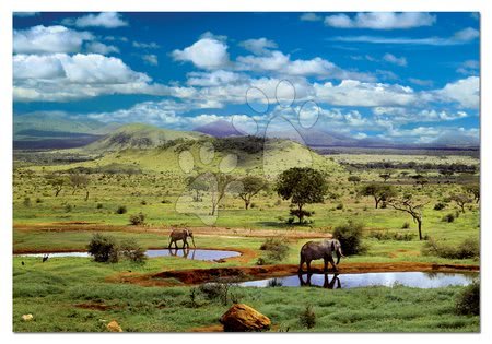 500 delne puzzle - Puzzle Narodni park Tsavo, Kenija Educa - 1