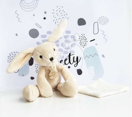 Baby and toddler toys | Page 2 - Stuffed animal for cuddling Sweety Chou Histoire d’ Ours_1