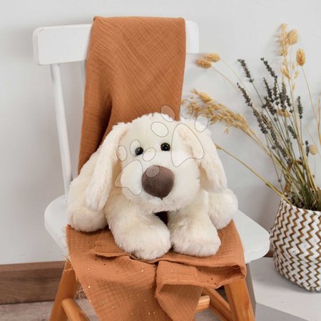 Plush toys - Plyšový psík Cookie Dog Histoire d’ Ours_1