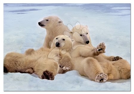 Dlhé zimné večery - Puzzle Rodinka ľadových medveďov Educa