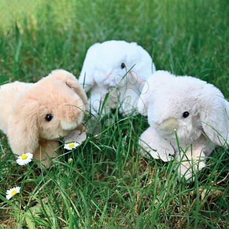 Conigli di peluche - Coniglietto di peluche Bunny Histoire d’ Ours - 3