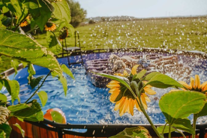 Round Swimming Pools  - EXIT Wood Pool ø427x122cm with filter pump - brown - 8