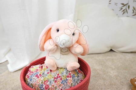  | Page 70 - Plush bunny The Little Companions Histoire d’ Ours_1