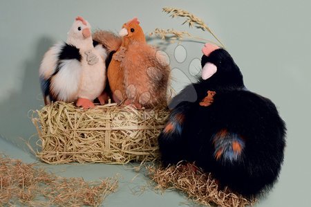 Plush animals - Plush chicken Les Poulettes Histoire d’ Ours - 4