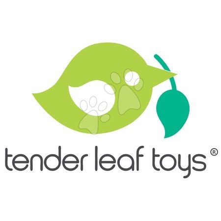 Drevené  hračky - Drevená polárna kosatka Tender Leaf Toys_1