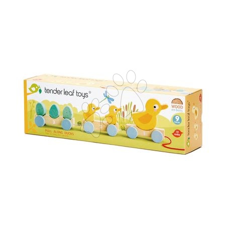  Készségfejlesztő fajátékok - Fa húzható kisvonat Pull Along Ducks Tender Leaf Toys - 4