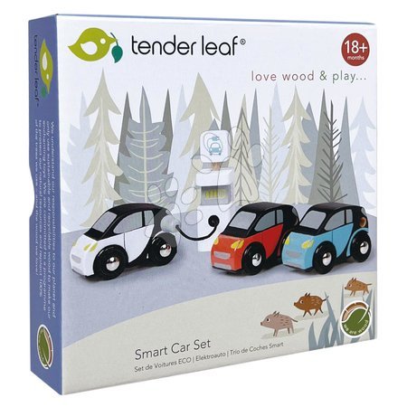 Fa kisautók - Fa elektromobilok Smart Car Set Tender Leaf Toys - 5