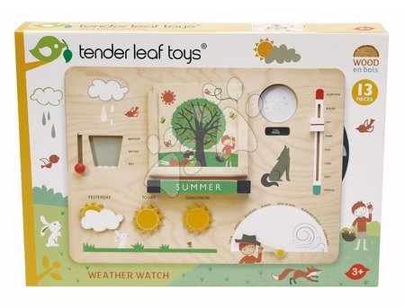 Jocuri educative din lemn - Stație meteo din lemn Weather Watch Tender Leaf Toys - 5