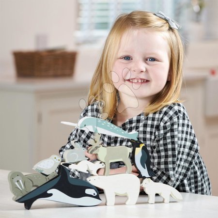 Jouets didactiques en bois - Les animaux polaires en bois sur l'étagère de Tender Leaf Toys - 4