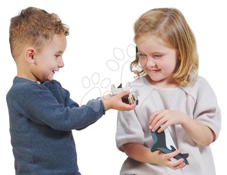 Jouets didactiques en bois - Les animaux polaires en bois sur l'étagère de Tender Leaf Toys - 6