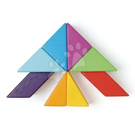 Jocuri de construit din lemn Tender Leaf - Joc de construit magnetic din lemn Designer Magblocs Tender Leaf Toys - 5