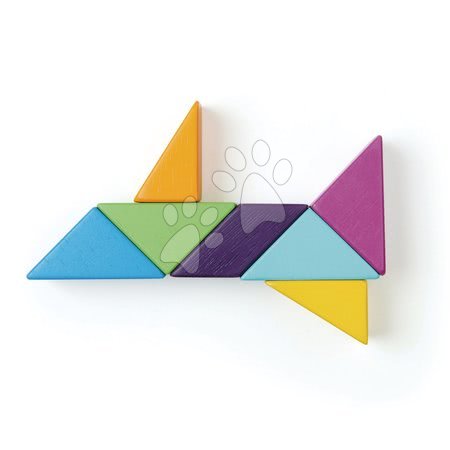 Jocuri de construit din lemn Tender Leaf - Joc de construit magnetic din lemn Designer Magblocs Tender Leaf Toys - 7