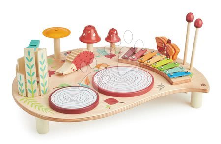 Dřevěné didaktické hračky - Dřevěný hudební stůl Musical Table Tender Leaf Toys - 3