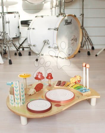 Dřevěné didaktické hračky - Dřevěný hudební stůl Musical Table Tender Leaf Toys - 8