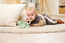Chrastítka a kousátka - Dřevěné chrastítko Baby HIPP Grasping Toy Eichhorn s hadříkem na mazlení od 12 měsíců_0