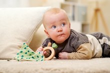 Chrastítka a kousátka - Dřevěné chrastítko Baby HIPP Grasping Toy Eichhorn s hadříkem na mazlení od 12 měsíců_1