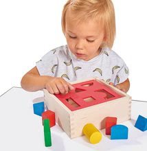 Drevené kocky - Drevená vkladačka Posting Box Eichhorn s 10 kockami rôznych tvarov a farieb 12 dielov od 12 mes_0