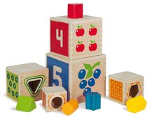 Dřevěné didaktické hračky - Dřevěná skládací věž Color Stacking Tower Eichhorn 5 barevných kostek a 5 tvarů od 12 měsíců_0