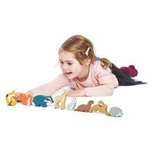 Jucării pentru dezvoltarea abilitătii copiiilor - Arici din lemn Tender Leaf Toys static_1