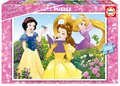 17167 c educa puzzle